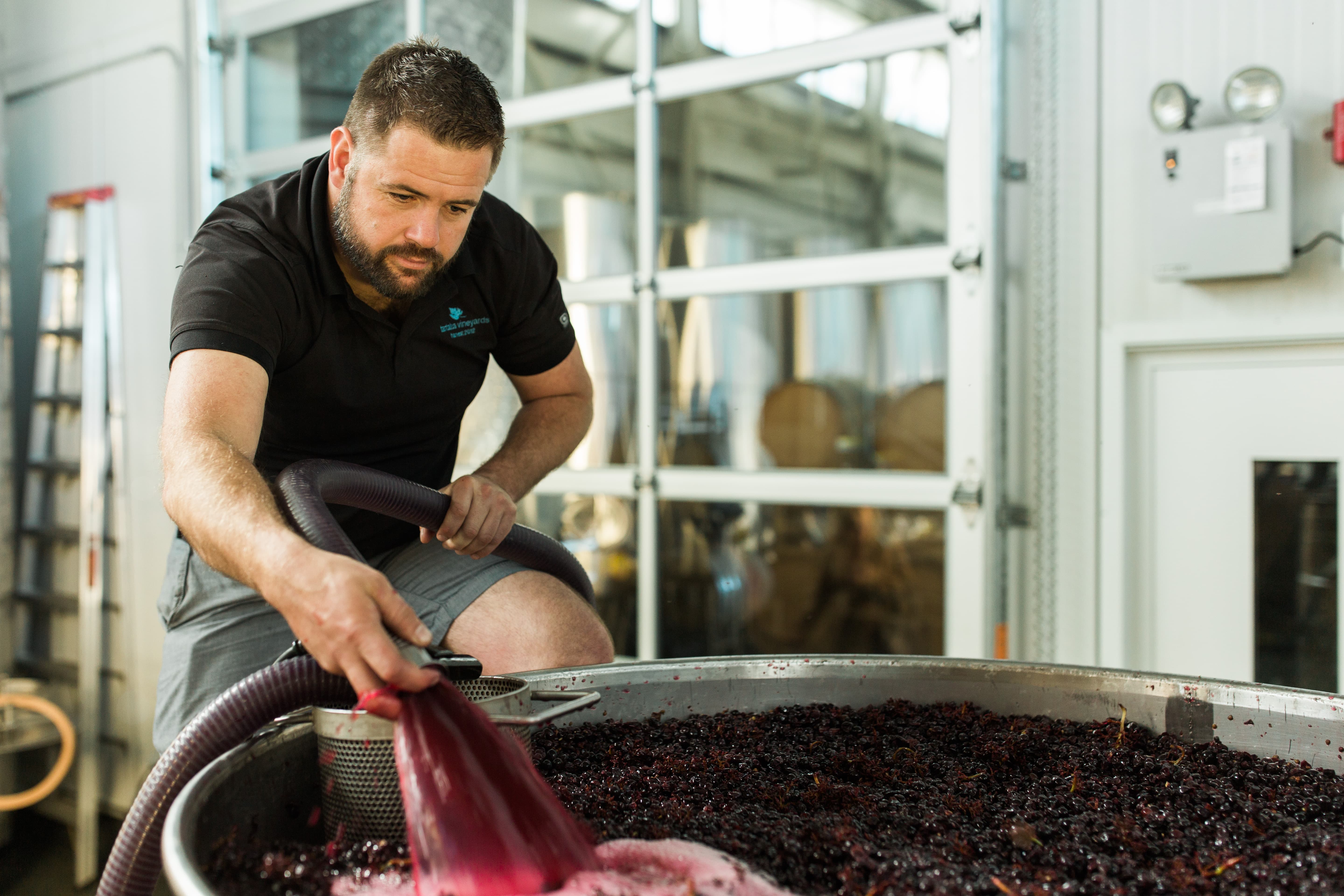 Tantalus winemaker David Paterson, courtesy BC Wine Institute
