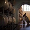 Bodega_barricas_2017_1-min.jpg